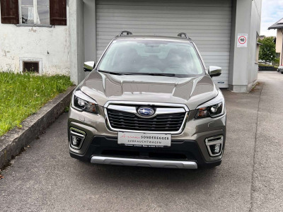 Subaru Forester Gebrauchtwagen Subaru Forester Gebrauchtwagen