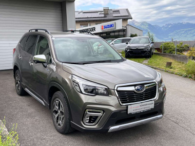 Subaru Forester Gebrauchtwagen Subaru Forester Gebrauchtwagen