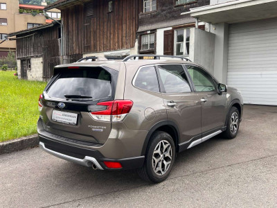Subaru Forester Gebrauchtwagen Subaru Forester Gebrauchtwagen