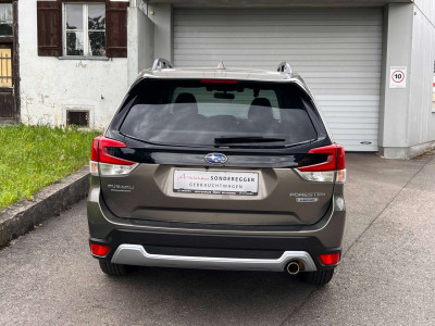 Subaru Forester Gebrauchtwagen Subaru Forester Gebrauchtwagen