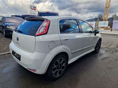 Fiat Punto Gebrauchtwagen