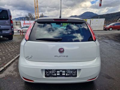 Fiat Punto Gebrauchtwagen