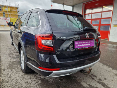 Skoda Octavia Gebrauchtwagen