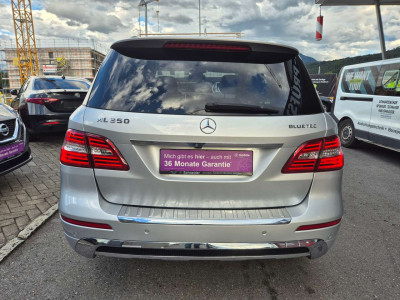 Mercedes-Benz ML Gebrauchtwagen