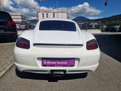 Porsche Cayman Gebrauchtwagen