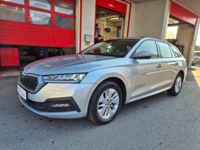 Skoda Octavia Gebrauchtwagen