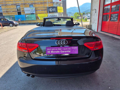 Audi A5 Gebrauchtwagen Audi A5 Gebrauchtwagen