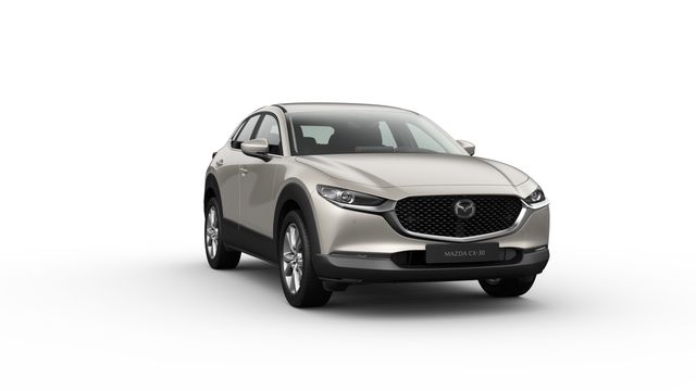Mazda CX-30 Tageszulassung
