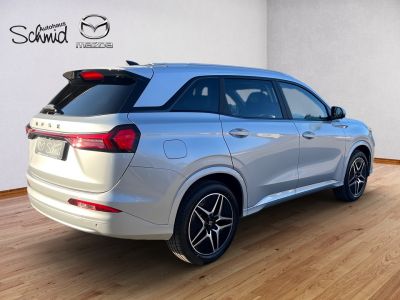 DFSK/DFM/FORTHING Fengon Neuwagen