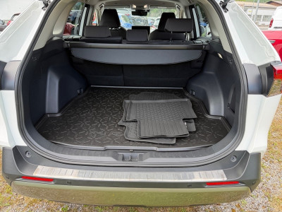 Toyota RAV4 Gebrauchtwagen
