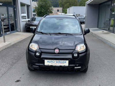 Fiat Panda Gebrauchtwagen