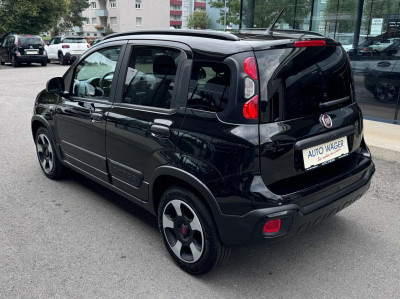 Fiat Panda Gebrauchtwagen