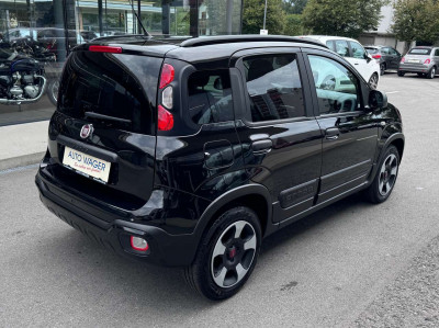 Fiat Panda Gebrauchtwagen