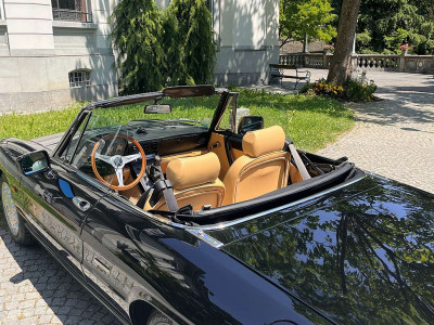 Alfa Romeo Spider Oldtimer Alfa Romeo Spider Oldtimer