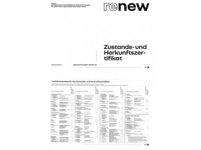 Renault Clio Gebrauchtwagen Renault Clio Gebrauchtwagen