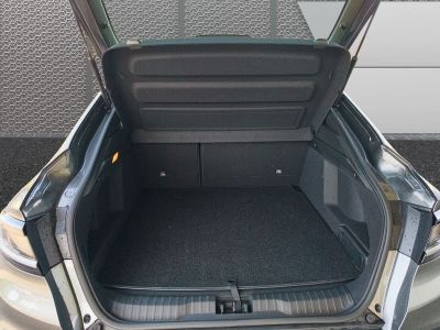 Renault Arkana Vorführwagen