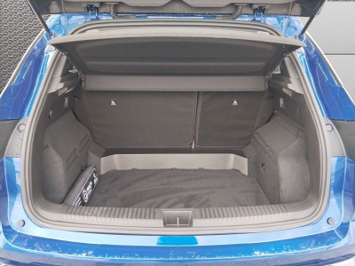 Renault Austral Vorführwagen