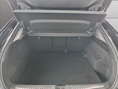 Renault Rafale Vorführwagen