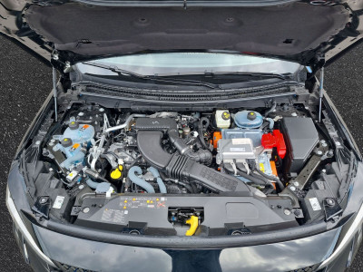 Renault Rafale Vorführwagen