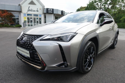 Lexus UX Gebrauchtwagen Lexus UX Gebrauchtwagen