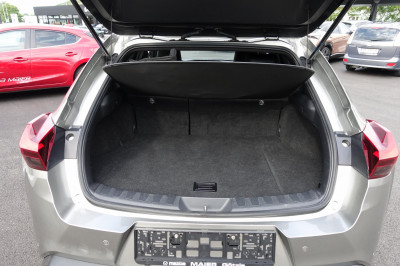 Lexus UX Gebrauchtwagen Lexus UX Gebrauchtwagen