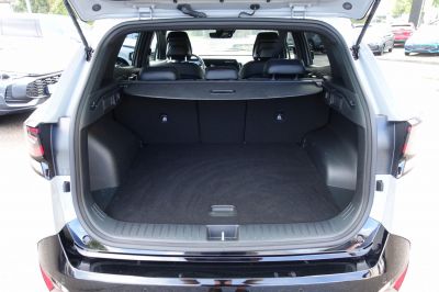 KIA Sportage Vorführwagen