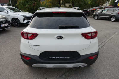 KIA Stonic Gebrauchtwagen