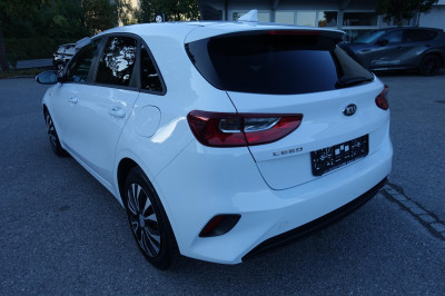 KIA Ceed Gebrauchtwagen KIA Ceed Gebrauchtwagen