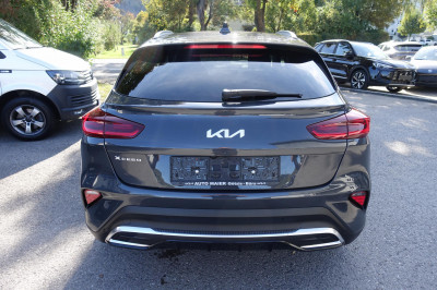 KIA XCeed Gebrauchtwagen KIA XCeed Gebrauchtwagen
