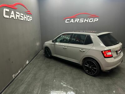 Skoda Fabia Gebrauchtwagen Skoda Fabia Gebrauchtwagen