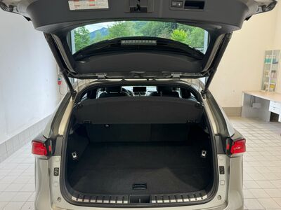 Lexus NX Gebrauchtwagen