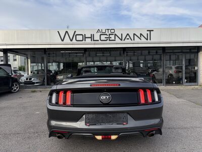 Ford Mustang Gebrauchtwagen