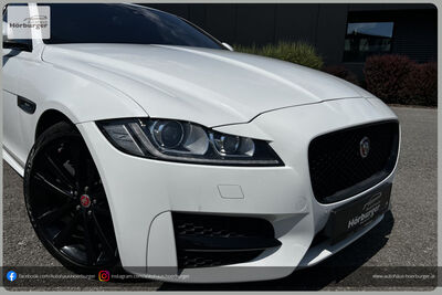 Jaguar XF Gebrauchtwagen