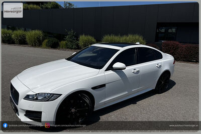 Jaguar XF Gebrauchtwagen