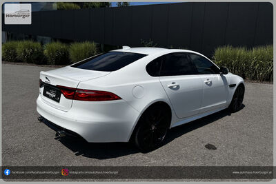 Jaguar XF Gebrauchtwagen