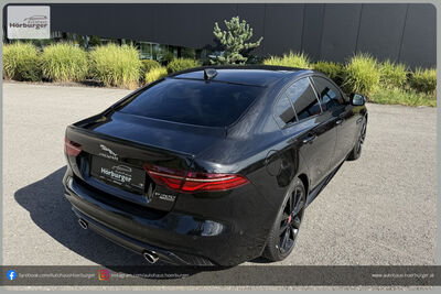 Jaguar XE Gebrauchtwagen