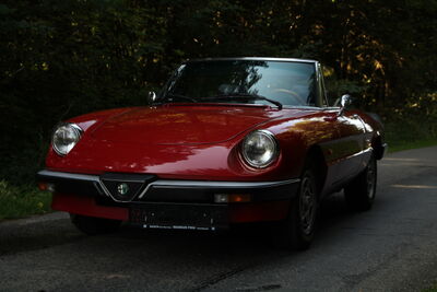 Alfa Romeo Spider Oldtimer Alfa Romeo Spider Oldtimer