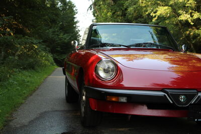Alfa Romeo Spider Oldtimer Alfa Romeo Spider Oldtimer