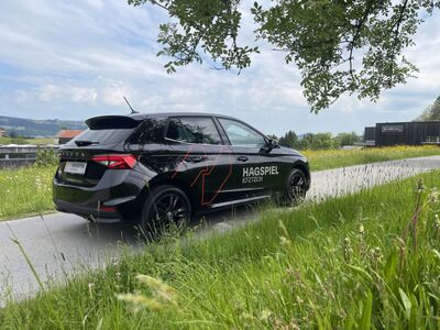 Skoda Fabia Gebrauchtwagen