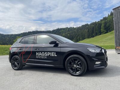 Skoda Fabia Gebrauchtwagen