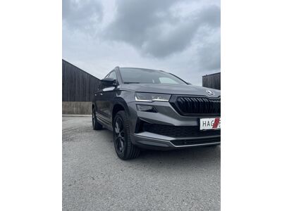 Skoda Karoq Gebrauchtwagen