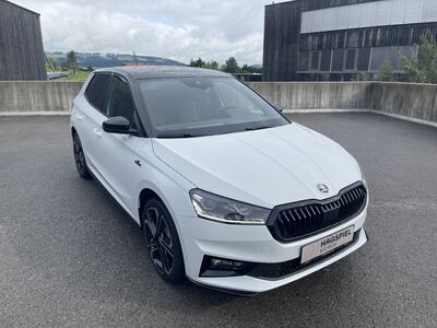 Skoda Fabia Gebrauchtwagen