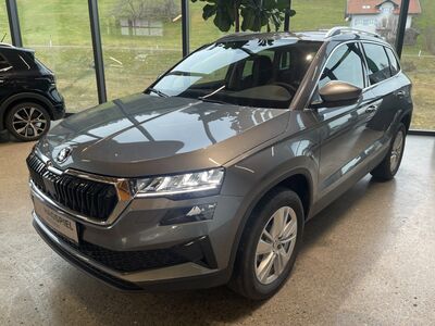 Skoda Karoq Gebrauchtwagen