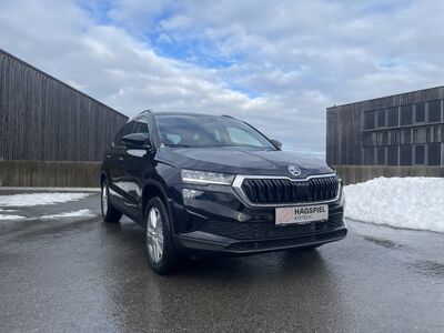 Skoda Karoq Gebrauchtwagen