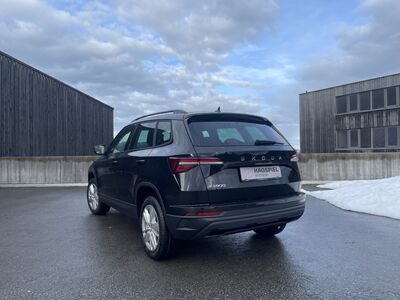 Skoda Karoq Gebrauchtwagen