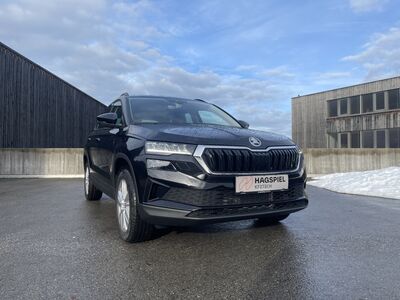 Skoda Karoq Gebrauchtwagen