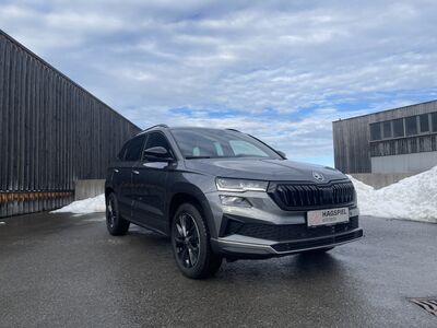 Skoda Karoq Gebrauchtwagen