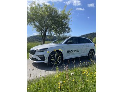 Skoda Scala Gebrauchtwagen