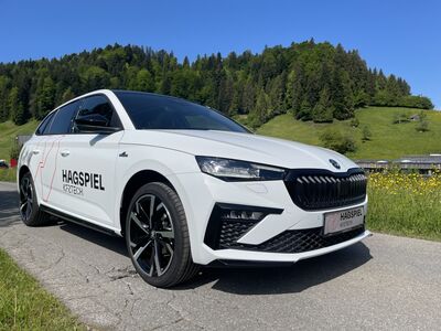 Skoda Scala Gebrauchtwagen