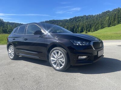 Skoda Fabia Gebrauchtwagen Skoda Fabia Gebrauchtwagen